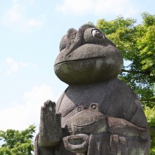 宗福寺花ハス