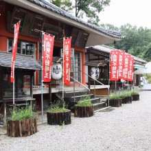 秋の七草寺_撫子