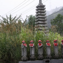 秋の七草寺_尾花