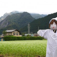 荒川 花見の里ちちぶ そばの花