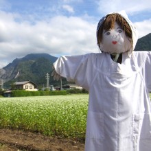 荒川 花見の里ちちぶ そばの花