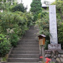 秋の七草寺_萩