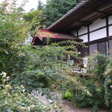 秋の七草寺_萩