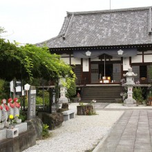 秋の七草寺_桔梗