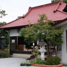 秋の七草寺_女郎花