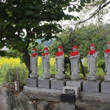 秋の七草寺_女郎花