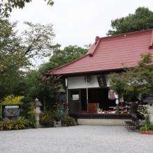 秋の七草寺_女郎花