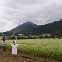 荒川そばの花見まつり