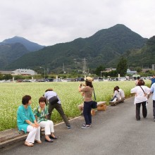 荒川そばの花見まつり