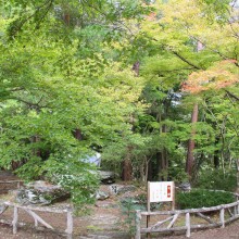 上長瀞月の石もみじ公園