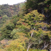 奥秩父・中津峡紅葉