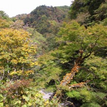 奥秩父・中津峡紅葉