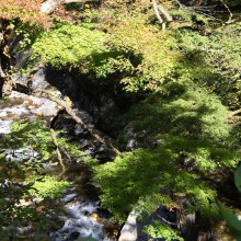 奥秩父・中津峡紅葉