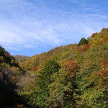 奥秩父・滝川渓谷紅葉