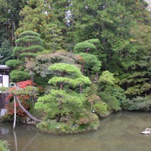 寶登山神社紅葉