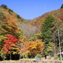 奥秩父・滝川渓谷紅葉