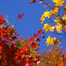 奥秩父・滝川渓谷紅葉