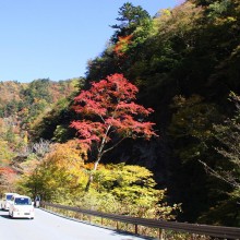 奥秩父・中津峡紅葉