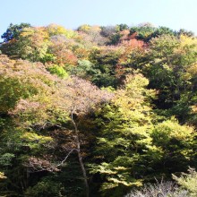 奥秩父・中津峡紅葉