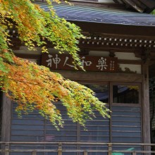 寶登山神社紅葉