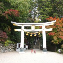 寶登山神社紅葉