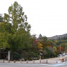 寶登山神社紅葉