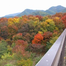 金石水管橋紅葉