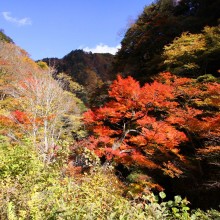 奥秩父・中津峡紅葉