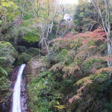 秩父華厳の滝紅葉