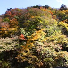 奥秩父・中津峡紅葉