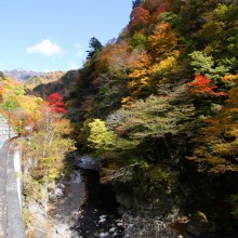 奥秩父・中津峡紅葉