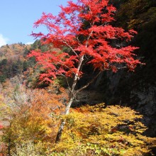 奥秩父・中津峡紅葉