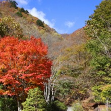 奥秩父・滝川渓谷紅葉