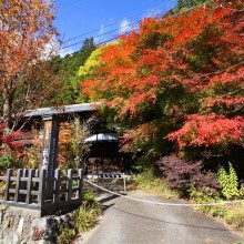 奥秩父・栃本関所跡紅葉