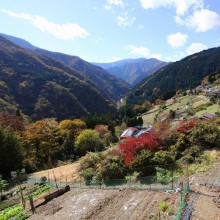 奥秩父・栃本関所跡紅葉