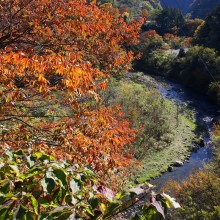 奥秩父浦山ダム周辺紅葉