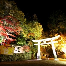 寶登山神社紅葉ライトアップ