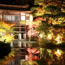 寶登山神社紅葉ライトアップ