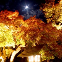 寶登山神社紅葉ライトアップ