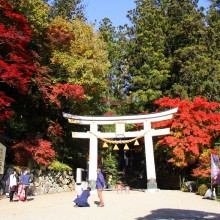 寶登山神社紅葉