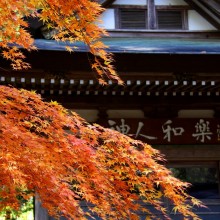 寶登山神社紅葉