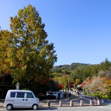 寶登山神社紅葉