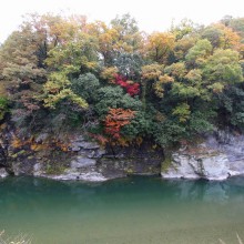 長瀞岩畳周辺紅葉