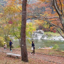 長瀞月の石もみじ公園紅葉