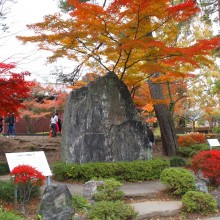 長瀞月の石もみじ公園紅葉