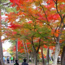 長瀞月の石もみじ公園紅葉