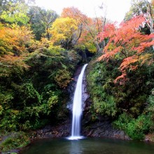 秩父華厳の滝紅葉