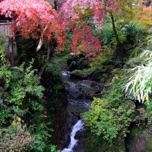 秩父華厳の滝紅葉