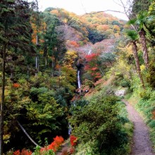 秩父華厳の滝紅葉