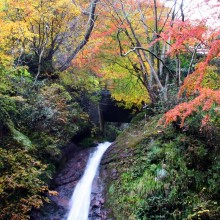 秩父華厳の滝紅葉